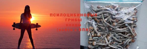 прущая мука Алзамай